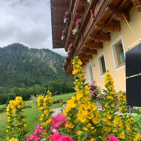 Alpen Appartements Oberlehengut Werfenweng Exterior foto