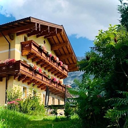 Alpen Appartements Oberlehengut Werfenweng Exterior foto