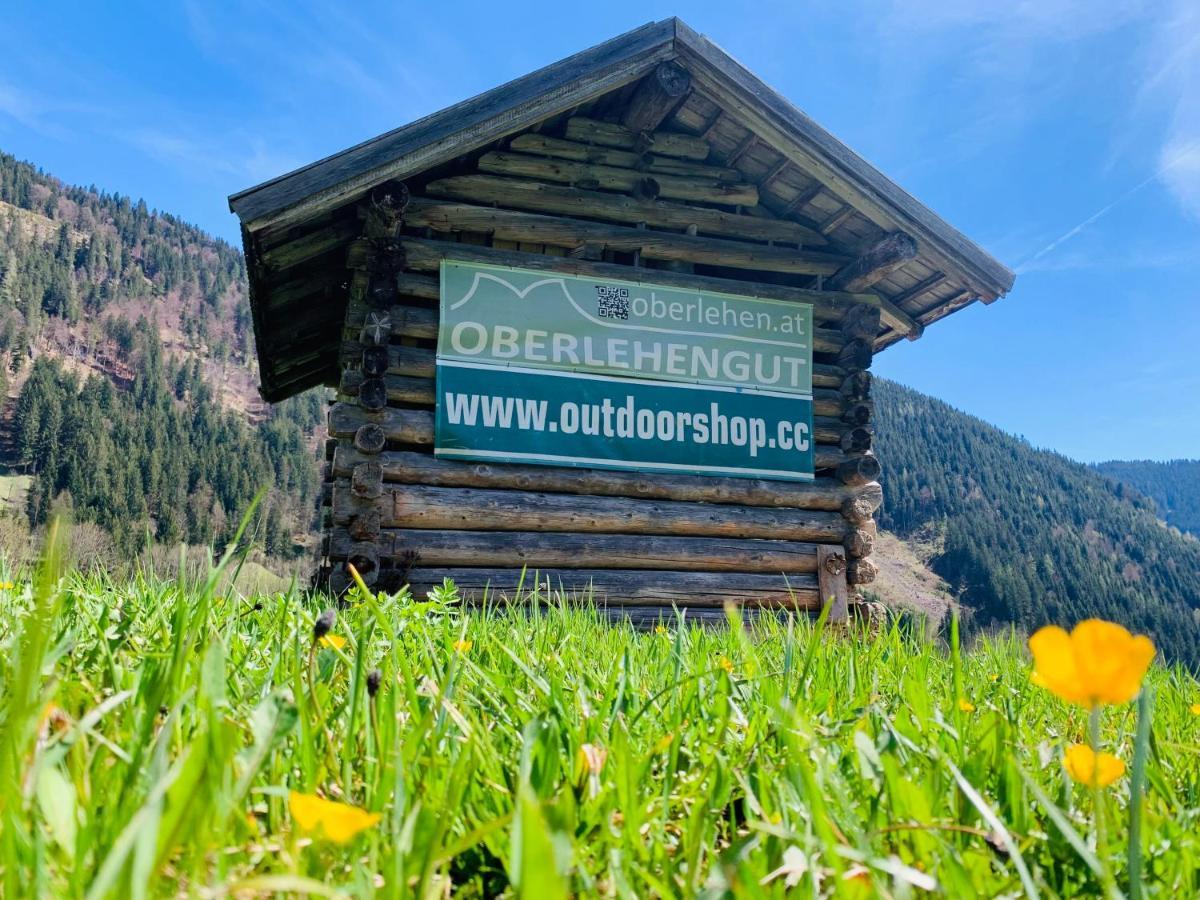 Alpen Appartements Oberlehengut Werfenweng Exterior foto