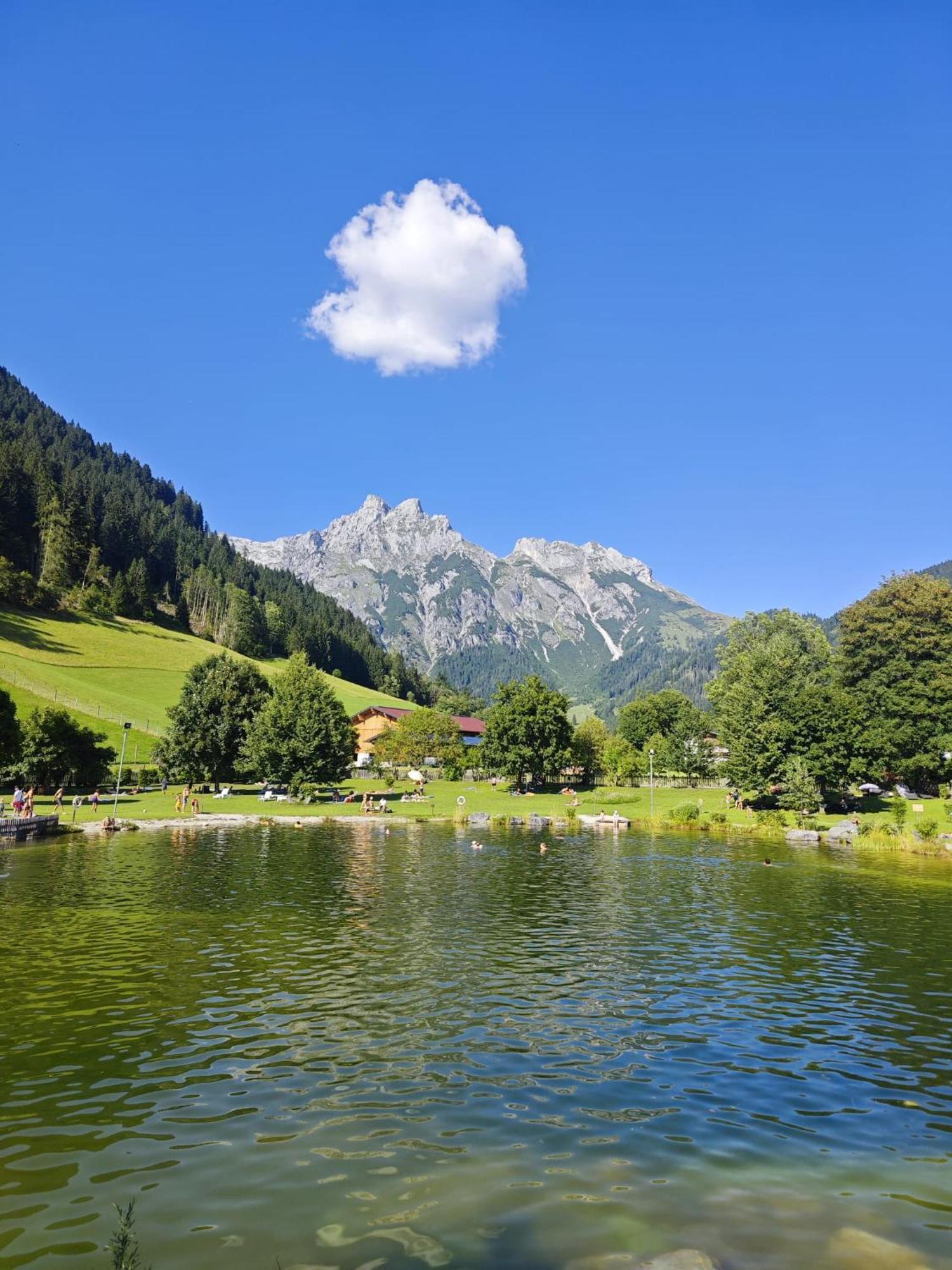 Alpen Appartements Oberlehengut Werfenweng Exterior foto