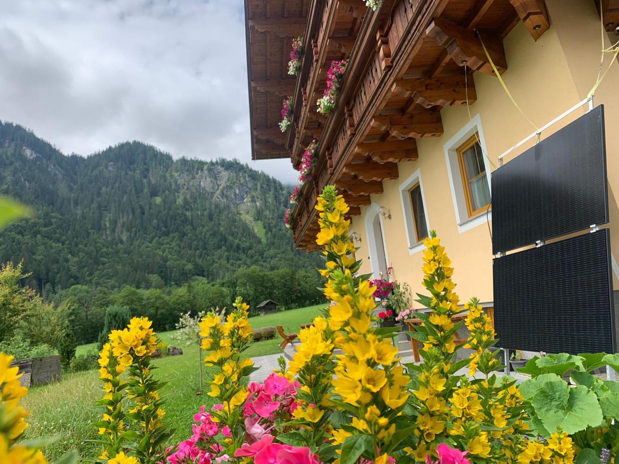 Alpen Appartements Oberlehengut Werfenweng Exterior foto